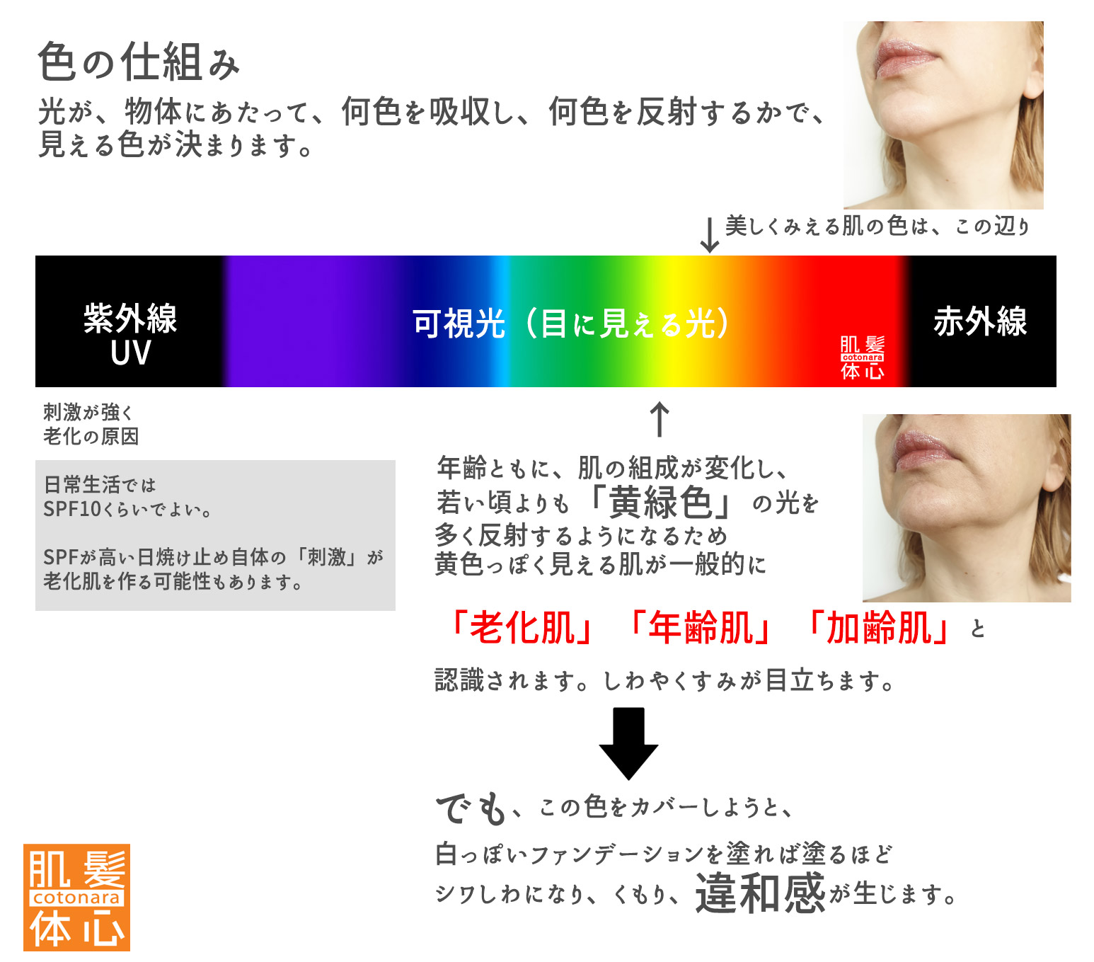 正規取扱店】エキスパートCCクリーム ご購入方法と使い方はこちら