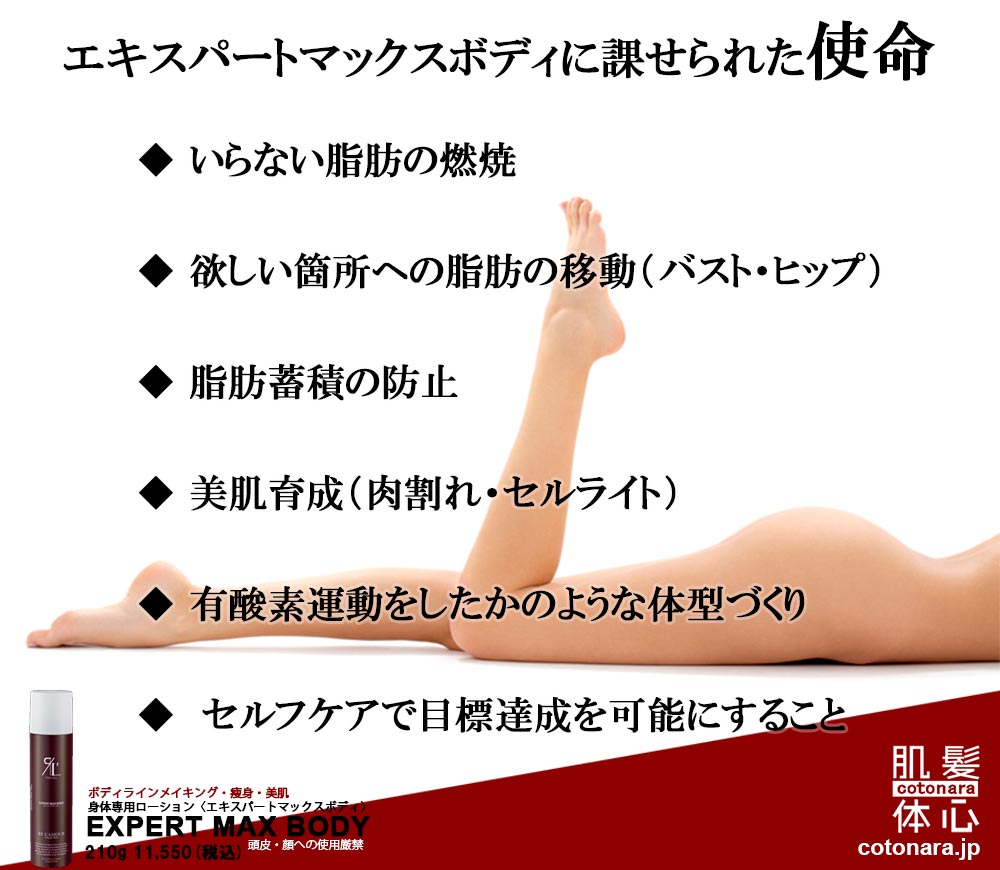 正規取扱店】エキスパートマックスボディ ご購入方法と使い方はこちら