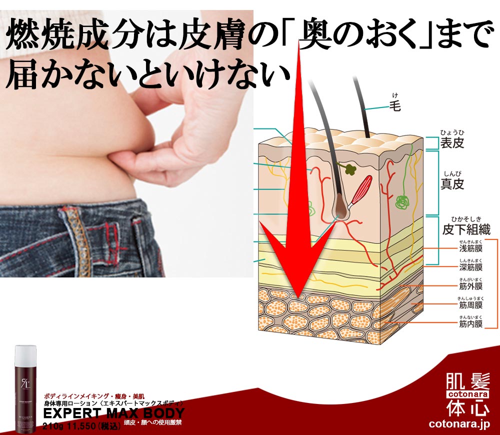 好評受付中 リアムール エキスパートローション マックスボディ 210g