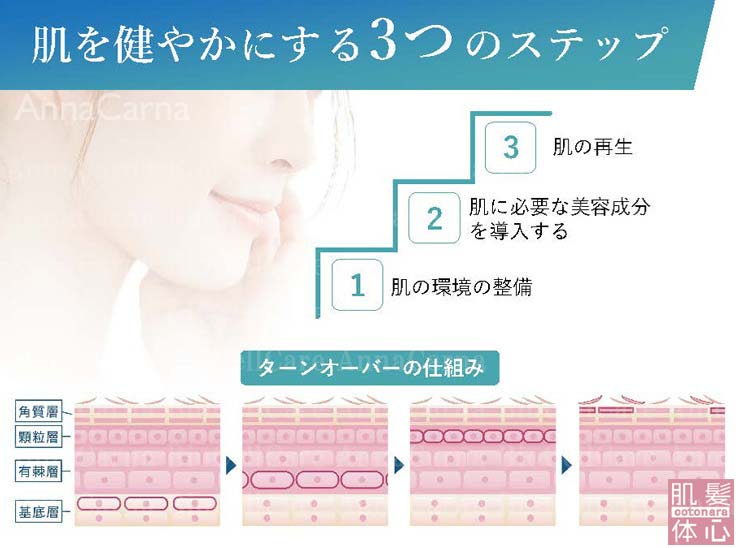 肌を健やかにする３つのステップ｜≪高濃度ヒト幹細胞培養液/iPSフェイシャル専門エステサロン≫ iPS BioCellCare AnnaCarna アンナカルナ【シミケア専科 プラズマ O:Celloオセロ 東京店 併設】肌質改善☆年齢肌☆小顔矯正☆シミ取り専門☆プラズマシミ取り放題◆プラズマシャワー・プラズマミスト・プラズマニードル◆芸能人ご用達コスメ「リアボーテ化粧品」正規販売店・クレアスキン・グランスキン・シェリースキン・エキスパートローション・リアムール・健美草◆購入方法・口コミ・効果・使い方・ビフォーアフター・動画・写真・通販・ネット販売対象外商品｜港区 南青山 銀座線 外苑前駅・青山一丁目駅◆個室完備・医療提携サロン・メディカルエステ