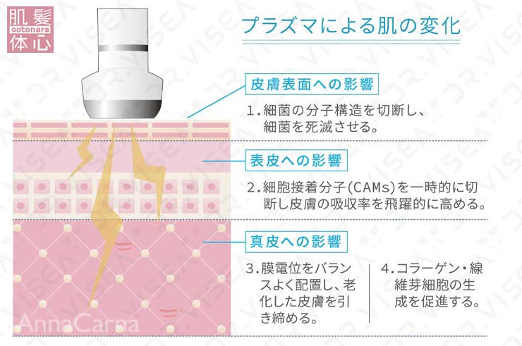 プラズマによる肌の変化｜≪高濃度ヒト幹細胞培養液/iPSフェイシャル専門エステサロン≫ iPS BioCellCare AnnaCarna アンナカルナ【シミケア専科 プラズマ O:Celloオセロ 東京店 併設】肌質改善☆年齢肌☆小顔矯正☆シミ取り専門☆プラズマシミ取り放題◆プラズマシャワー・プラズマミスト・プラズマニードル◆芸能人ご用達コスメ「リアボーテ化粧品」正規販売店・クレアスキン・グランスキン・シェリースキン・エキスパートローション・リアムール・健美草◆購入方法・口コミ・効果・使い方・ビフォーアフター・動画・写真・通販・ネット販売対象外商品｜港区 南青山 銀座線 外苑前駅・青山一丁目駅◆個室完備・医療提携サロン・メディカルエステ