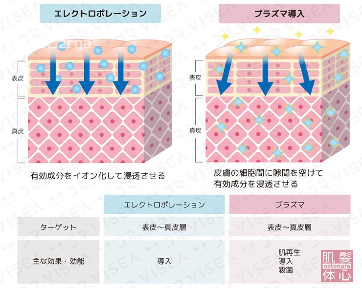 プラズマ導入　皮膚の細胞間に隙間を空けて有効成分を浸透させる｜≪高濃度ヒト幹細胞培養液/iPSフェイシャル専門エステサロン≫ iPS BioCellCare AnnaCarna アンナカルナ【シミケア専科 プラズマ O:Celloオセロ 東京店 併設】肌質改善☆年齢肌☆小顔矯正☆シミ取り専門☆プラズマシミ取り放題◆プラズマシャワー・プラズマミスト・プラズマニードル◆芸能人ご用達コスメ「リアボーテ化粧品」正規販売店・クレアスキン・グランスキン・シェリースキン・エキスパートローション・リアムール・健美草◆購入方法・口コミ・効果・使い方・ビフォーアフター・動画・写真・通販・ネット販売対象外商品｜港区 南青山 銀座線 外苑前駅・青山一丁目駅◆個室完備・医療提携サロン・メディカルエステ