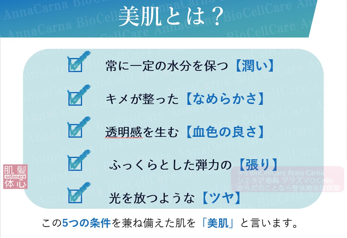 美しい肌の条件とは？｜≪高濃度ヒト幹細胞培養液/iPSフェイシャル専門エステサロン≫ iPS BioCellCare AnnaCarna アンナカルナ【シミケア専科 プラズマ O:Celloオセロ 東京店 併設】肌質改善☆年齢肌☆小顔矯正☆シミ取り専門☆プラズマシミ取り放題◆プラズマシャワー・プラズマミスト・プラズマニードル◆芸能人ご用達コスメ「リアボーテ化粧品」正規販売店・クレアスキン・グランスキン・シェリースキン・エキスパートローション・リアムール・健美草◆購入方法・口コミ・効果・使い方・ビフォーアフター・動画・写真・通販・ネット販売対象外商品｜港区 南青山 銀座線 外苑前駅・青山一丁目駅◆個室完備・医療提携サロン・メディカルエステ