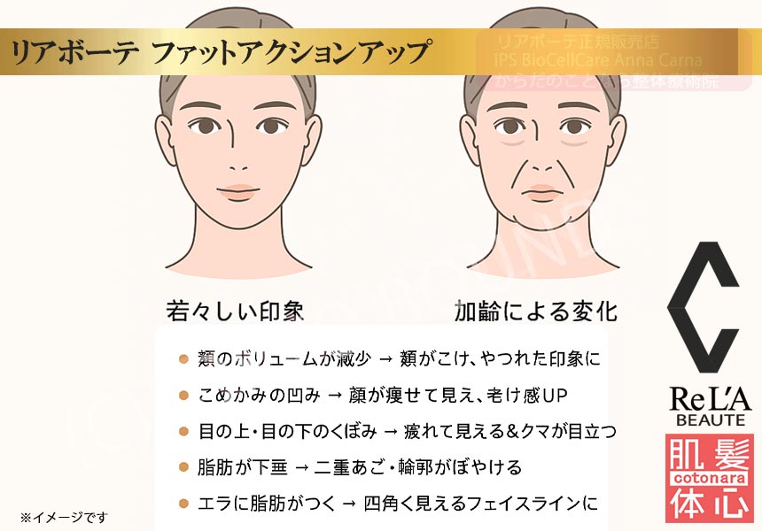 クレアスキン ファットアクションアップのご購入方法｜≪高濃度ヒト幹細胞培養液/iPSフェイシャル専門エステサロン≫ iPS BioCellCare AnnaCarna アンナカルナ【シミケア専科 プラズマ O:Celloオセロ 東京店 併設】肌質改善☆年齢肌☆小顔矯正☆シミ取り専門◆プラズマシャワー・プラズマミスト・プラズマニードル◆芸能人ご用達コスメ「リアボーテ化粧品」正規販売店・クレアスキン・グランスキン・シェリースキン・エキスパートローション・リアムール・健美草◆購入方法・口コミ・効果・使い方・ビフォーアフター・動画・写真・通販・ネット販売対象外商品｜港区 南青山 銀座線 外苑前駅・青山一丁目駅◆個室完備・医療提携サロン・メディカルエステ