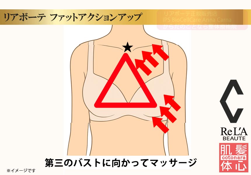 クレアスキン ファットアクションアップのご購入方法｜≪高濃度ヒト幹細胞培養液/iPSフェイシャル専門エステサロン≫ iPS BioCellCare AnnaCarna アンナカルナ【シミケア専科 プラズマ O:Celloオセロ 東京店 併設】肌質改善☆年齢肌☆小顔矯正☆シミ取り専門◆プラズマシャワー・プラズマミスト・プラズマニードル◆芸能人ご用達コスメ「リアボーテ化粧品」正規販売店・クレアスキン・グランスキン・シェリースキン・エキスパートローション・リアムール・健美草◆購入方法・口コミ・効果・使い方・ビフォーアフター・動画・写真・通販・ネット販売対象外商品｜港区 南青山 銀座線 外苑前駅・青山一丁目駅◆個室完備・医療提携サロン・メディカルエステ