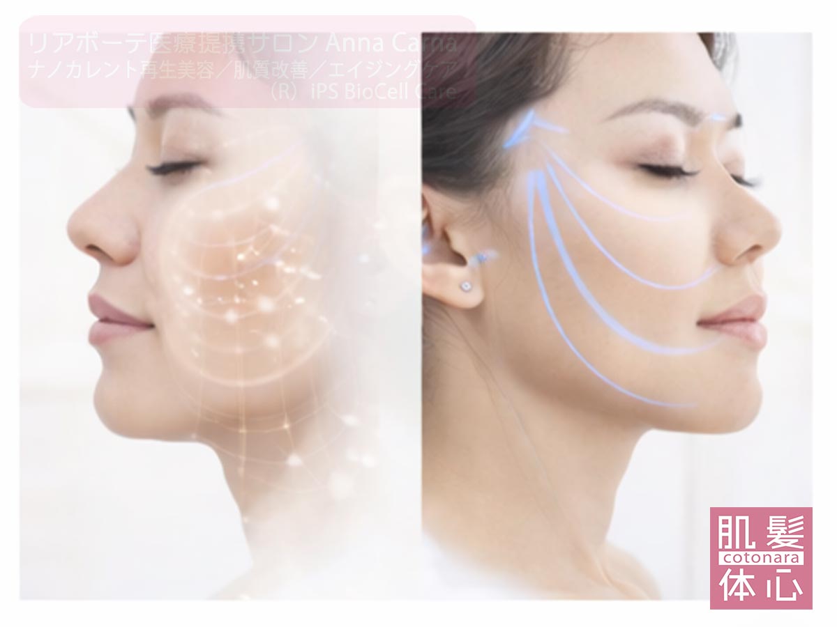 コラーゲン産生を含む再構築でハリ・密度・引き締まりを整える｜たるみ・輪郭ケア