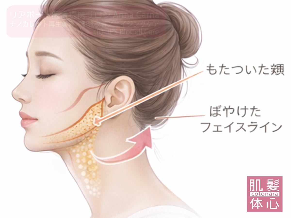 ナノカレント全顔リフトの鍵はコラーゲン生成｜たるみ・フェイスラインを整える FACE RE:DESIGN 南青山AnnaCarna