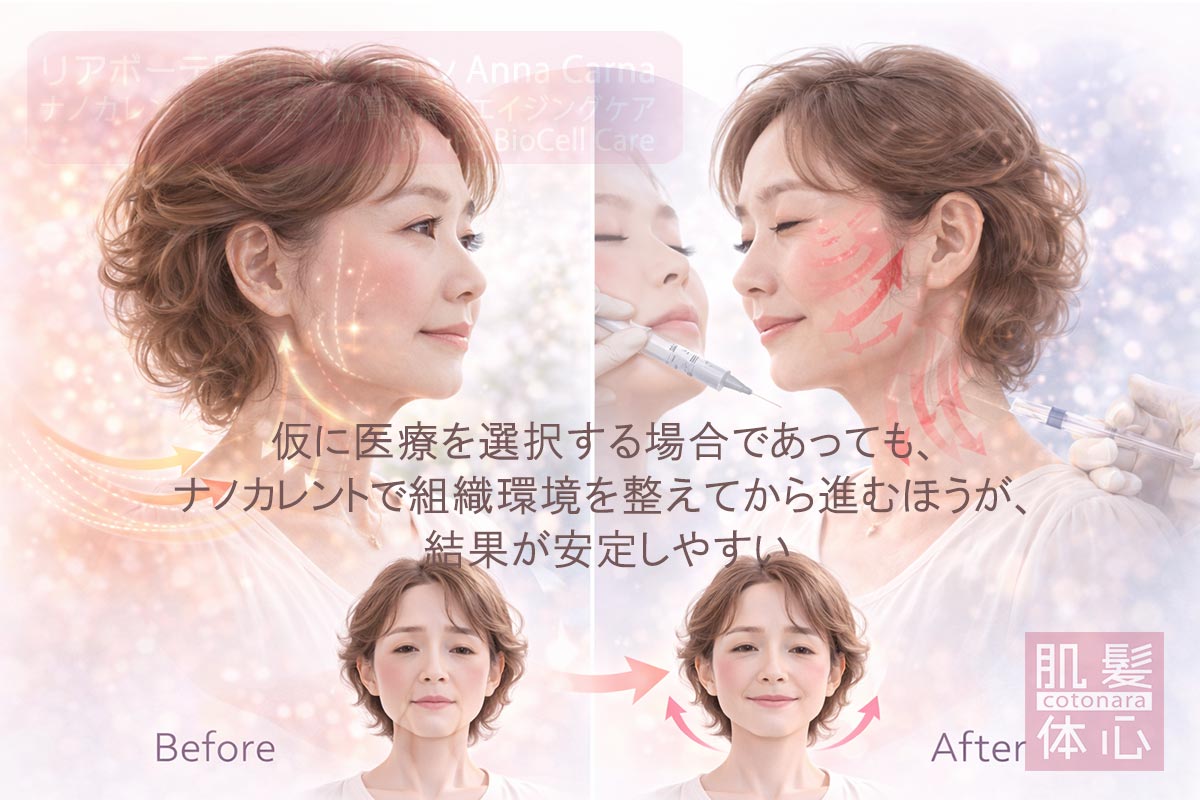 リアボーテ医療提携サロン AnnaCarna（アンナカルナ）のナノカレントによるATP活性と細胞環境改善イメージ