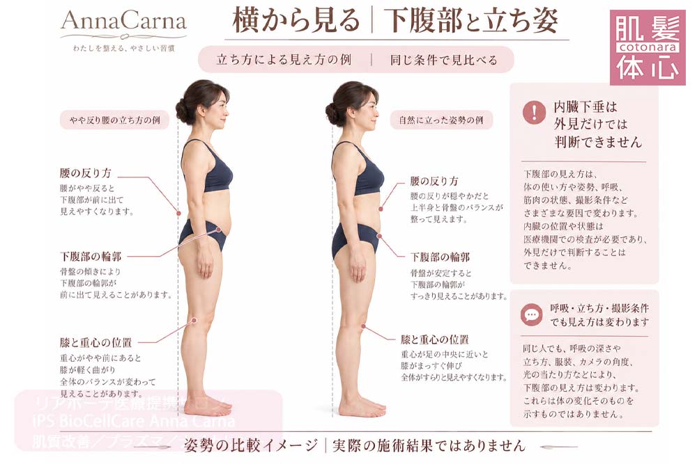 腰の反り方や下腹部の輪郭を横姿で確認する説明イラスト｜美容家や芸能人ご用達・幹細胞コスメブランド・リアボーテ専門エステ・リアボーテ医療提携サロン AnnaCarna・リアボーテクレアスキン化粧品・リアボーテグランスキン化粧品・リアボーテシェリースキン化粧品・エキスパートローション・リアムール化粧品・エクラボーテ美顔器・正規取扱店・高濃度ヒト幹細胞培養液・ヒト幹細胞培養液・フェイシャル・ips細胞・ナノカレント・微弱電流・コラーゲン生成・筋膜・血流改善・リンパ・自律神経・再生美容・フェイスデザイン・リフトアップ・小顔・たるみケア・ほうれい線・マリオネットライン・フェイスラインもたつき・二重あご・目の下たるみ・クマ・青クマ・茶クマ・黒クマ・シミ・シミ取り・肝斑・色素沈着・ニキビ・ニキビ跡・毛穴・開き毛穴・たるみ毛穴・赤み・くすみ・乾燥・敏感肌・乾燥小じわ・ハリ・ツヤ・肌質改善・エイジングケア・年齢肌・頭活・頭皮ケア・育毛ケア・口コミ・評判・効果・使い方・ビフォーアフター・症例・動画・写真・施術方法・スキンケア方法・予約・当日予約・空き状況・料金・価格・体験・初回・再来・コース・メニュー・比較・おすすめ・人気・購入方法・販売店・正規販売・オンラインカウンセリング・発送対応・通販・ネット販売・禁止・対象外商品・カウンセリング必須・医療提携・専門サロン・完全個室・都度払い・勧誘なし・症例多数・実績・紹介・青山・港区・外苑前・東京・大阪・阿倍野区